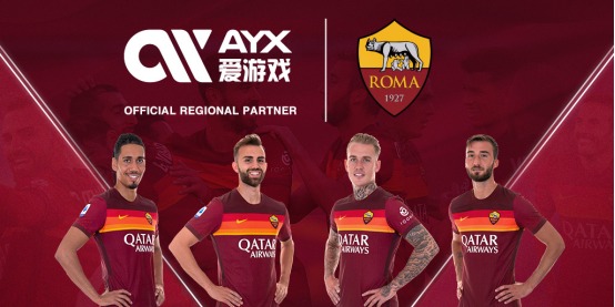 合实力的象