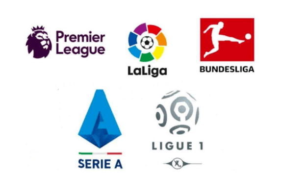 手的信心 手的信心